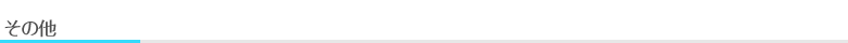その他